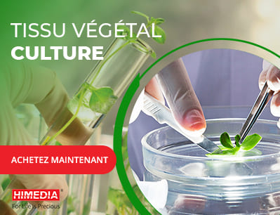 Culture de tissus végétaux