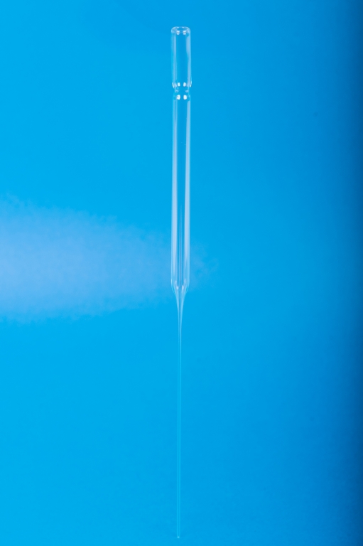 Pipette Pasteur jetable en verre borosilicaté 5-3/4 pouces