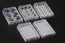 Cell Culture Plates