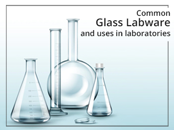 Common Glass Labware and uses in Laboratories