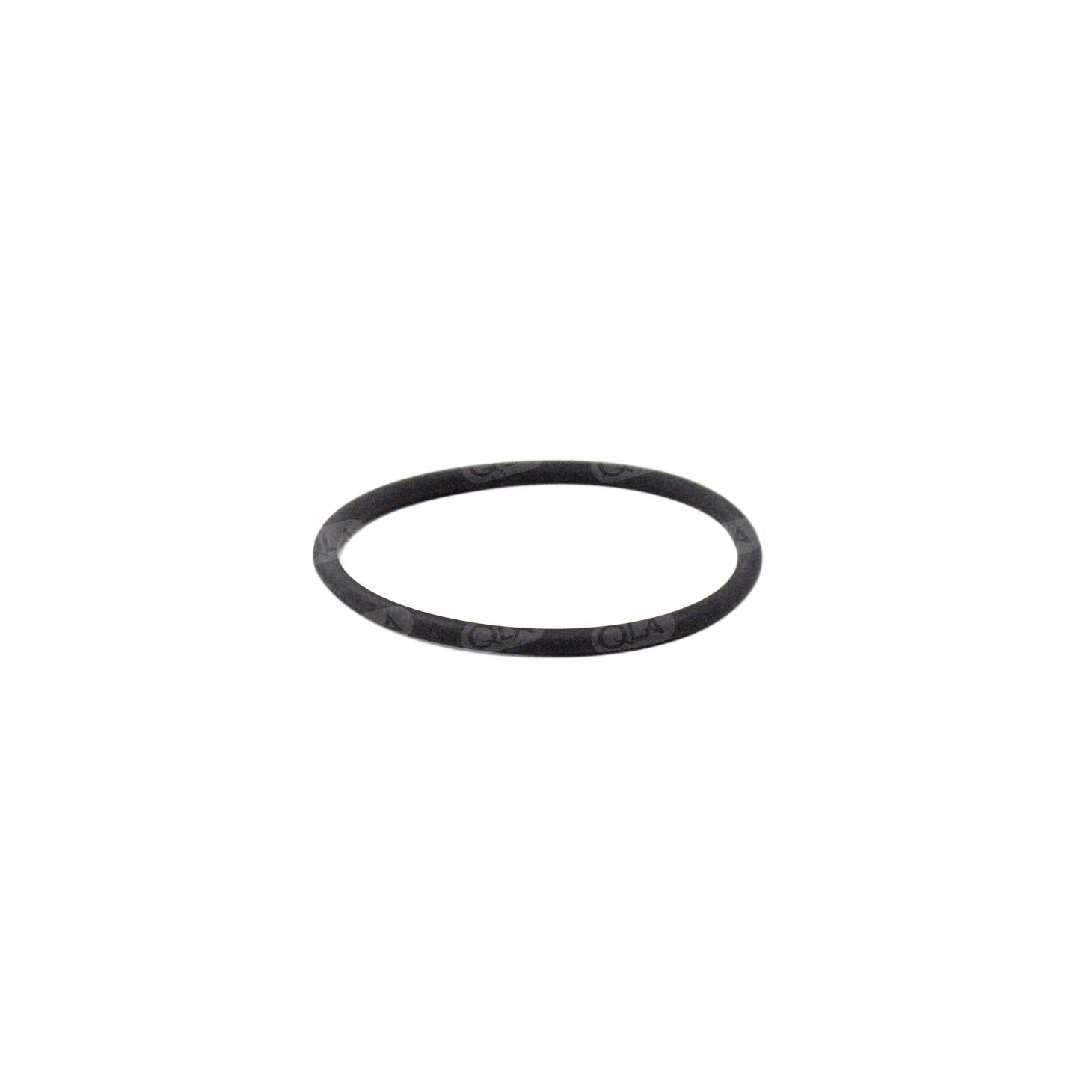 O-Ring for Sotax APP 4 Lower Filter Housing (Internal)