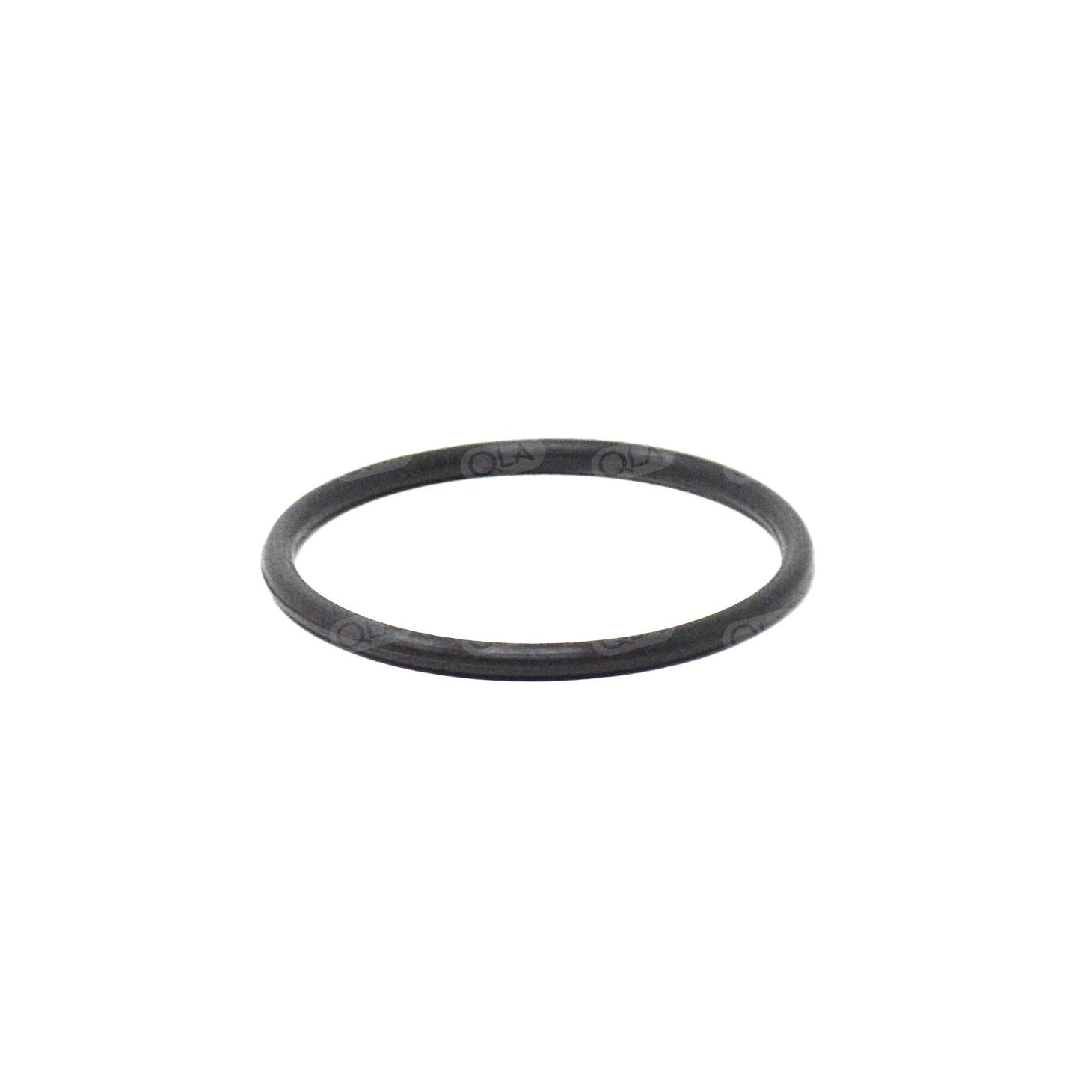 O-Ring for Sotax APP 4 Top Filter Housing (Internal)